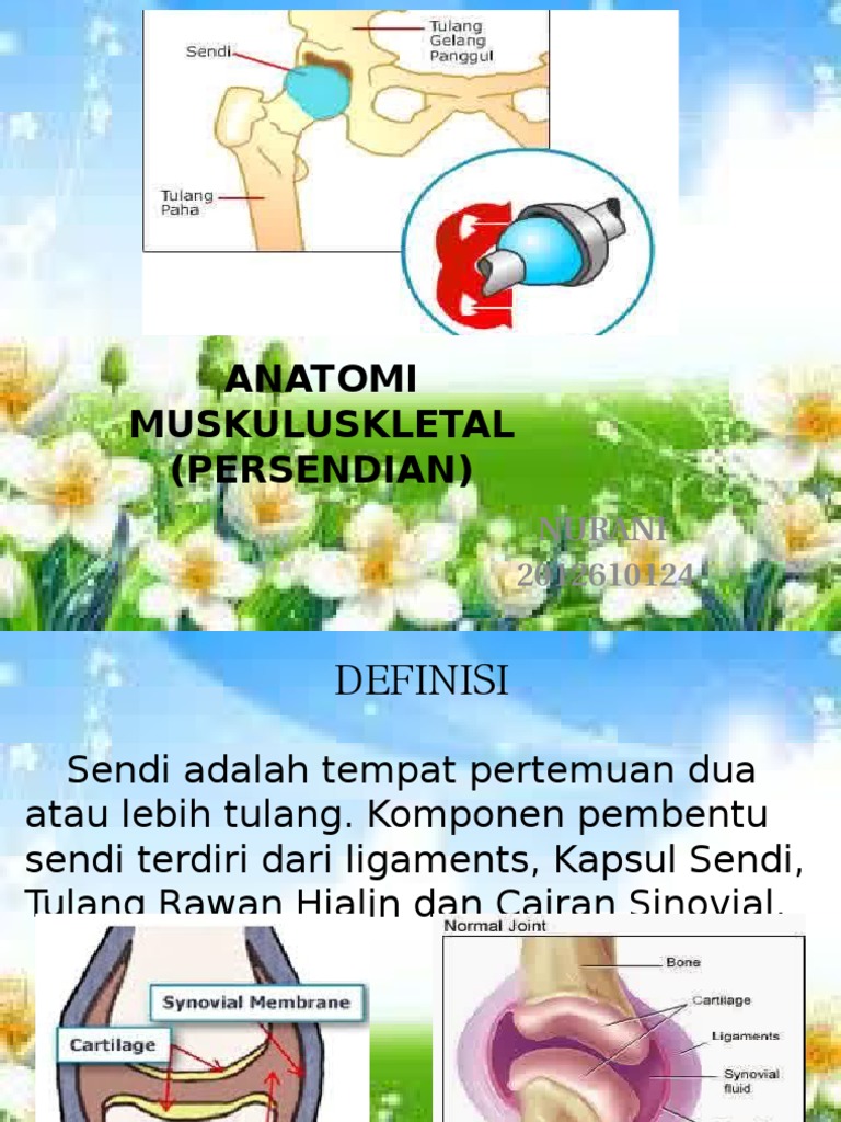 Detail Gambar Sendi Untuk Power Point Nomer 7