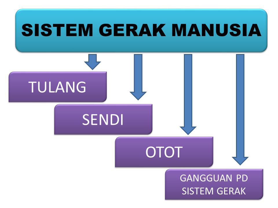 Detail Gambar Sendi Untuk Power Point Nomer 9