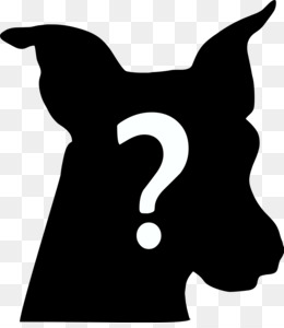Detail Cachorro Feio Nomer 17