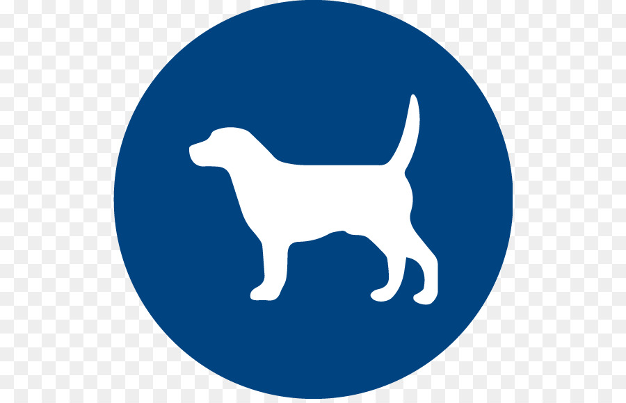 Detail Cachorro Feio Nomer 20