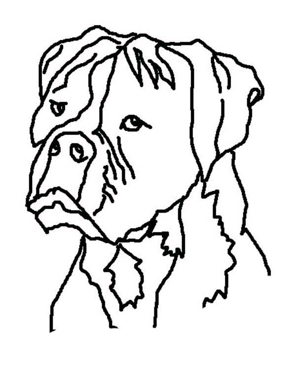Detail Cachorro Feio Nomer 4