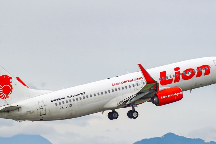 Detail Download Logo Lion Air Pada Tiket Nomer 34