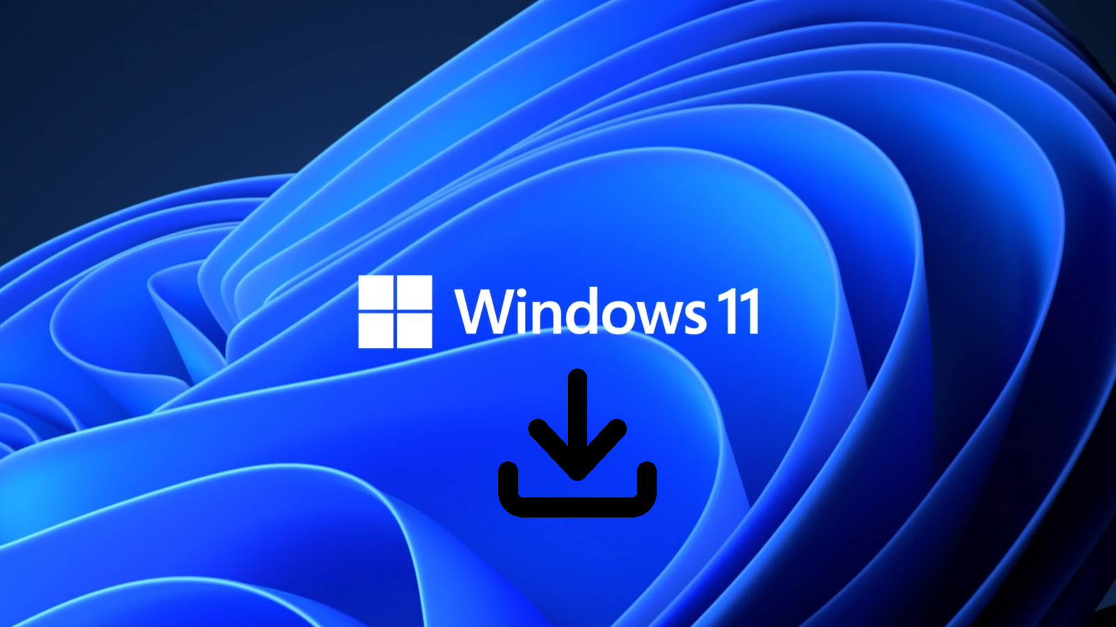 Detail Download Logo Log In Windows 10 Nomer 26