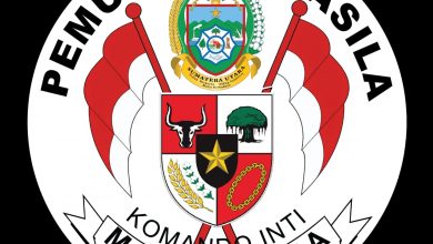 Detail Download Logo Lpph Pemuda Pancasila Nomer 31