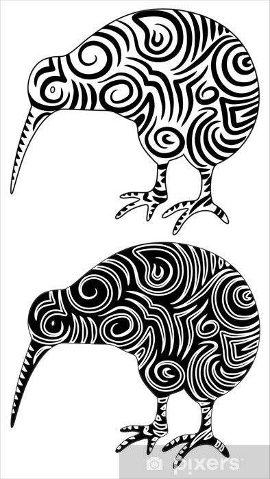 Detail Kiwi Vogel Baby Nomer 7