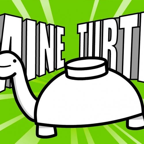 Detail Mine Turtle Nomer 13