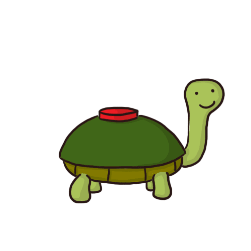 Detail Mine Turtle Nomer 19