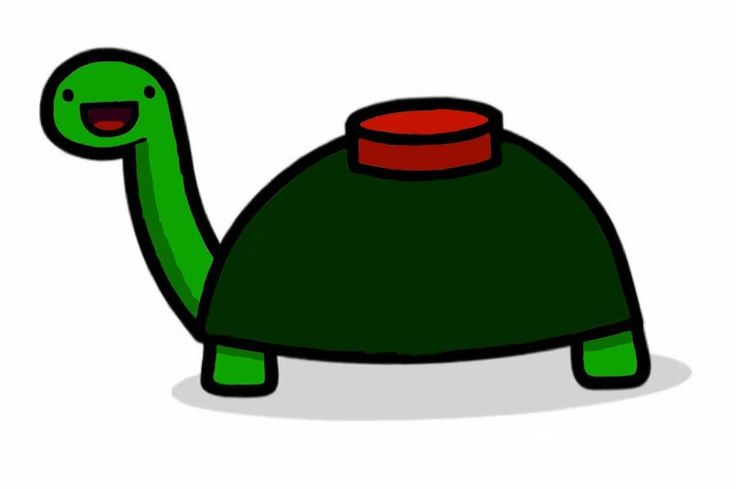 Detail Mine Turtle Nomer 3