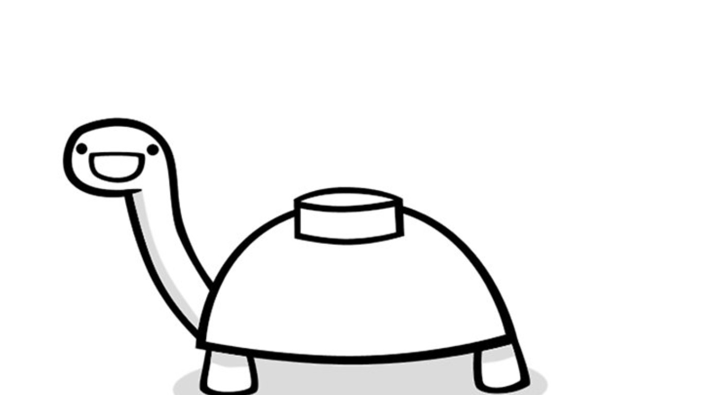 Detail Mine Turtle Nomer 5
