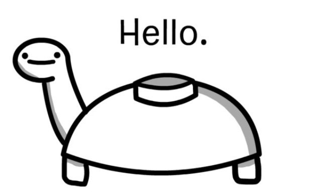 Detail Mine Turtle Nomer 7