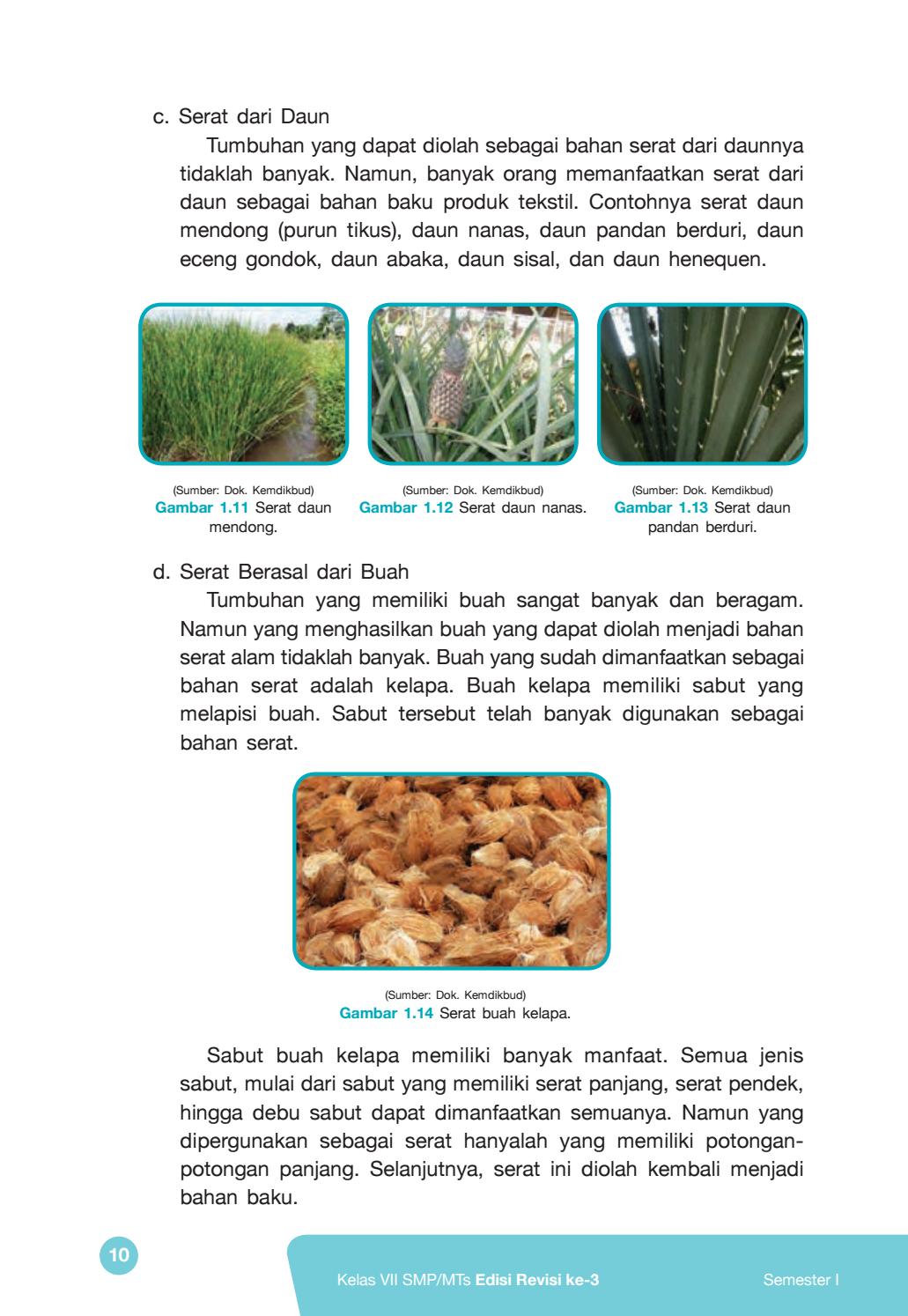 Detail Gambar Serat Alam Dari Buah Kelapa Nomer 19