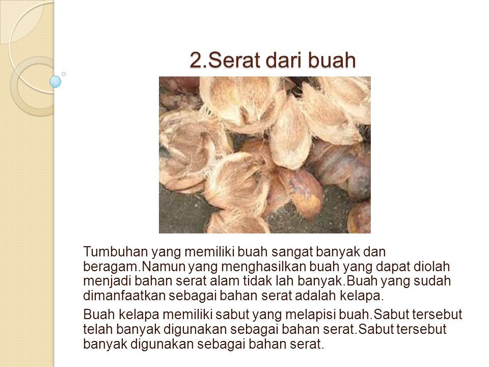 Detail Gambar Serat Alam Dari Buah Kelapa Nomer 24