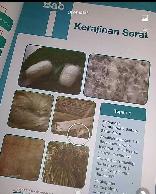 Detail Gambar Serat Alam Dari Buah Kelapa Nomer 38