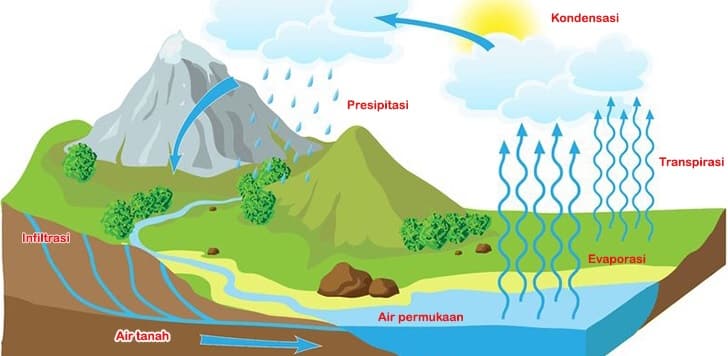 Detail Gambar Siklus Air Beserta Keterangannya Nomer 14
