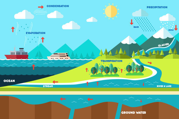 Detail Gambar Siklus Air Beserta Keterangannya Nomer 38