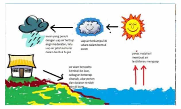 Detail Gambar Siklus Air Beserta Keterangannya Nomer 42