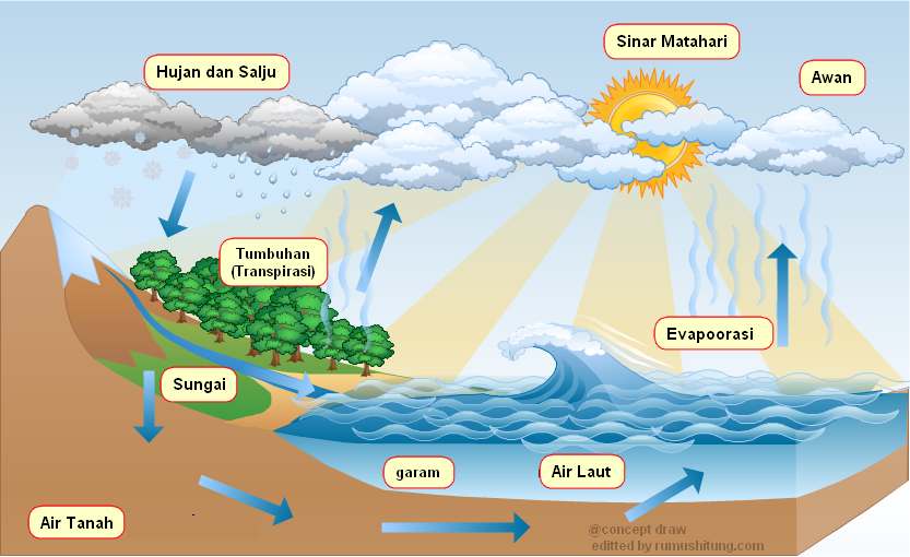 Detail Gambar Siklus Air Beserta Keterangannya Nomer 7