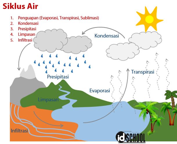 Detail Gambar Siklus Air Beserta Keterangannya Nomer 10