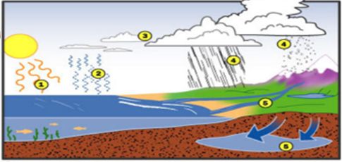 Detail Gambar Siklus Air Beserta Penjelasannya Nomer 15