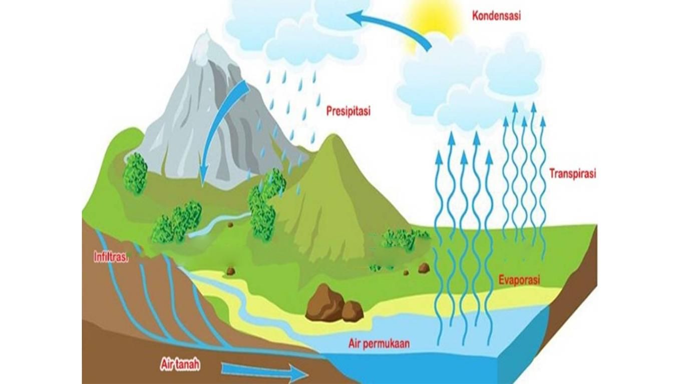 Detail Gambar Siklus Air Beserta Penjelasannya Nomer 44