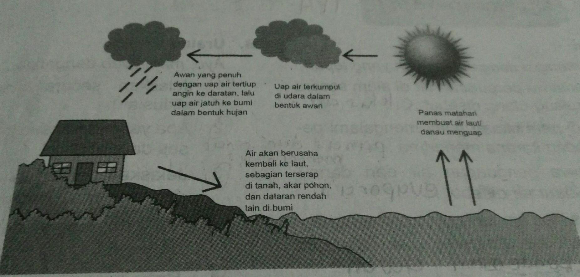 Detail Gambar Siklus Air Beserta Penjelasannya Nomer 47