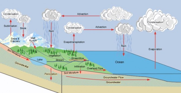 Detail Gambar Siklus Hidrologi Beserta Penjelasannya Nomer 27