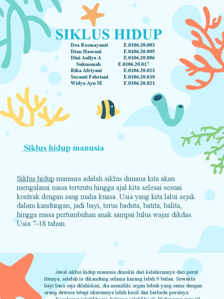 Detail Gambar Siklus Janin Manusia Nomer 39