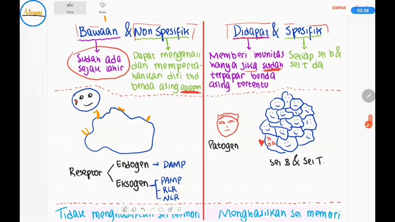 Detail Gambar Sistem Imun Pada Manusia Nomer 24