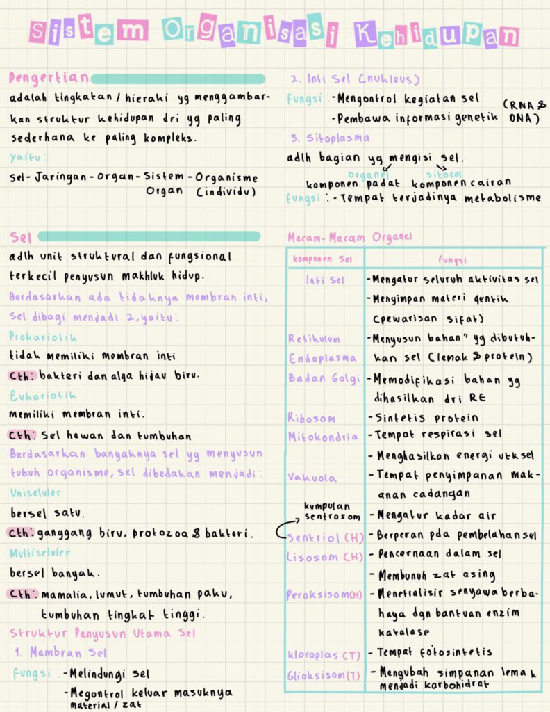 Detail Gambar Sistem Organisasi Kehidupan Nomer 26