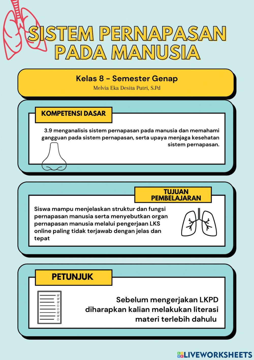 Detail Gambar Sistem Pernapasan Yt Nomer 29