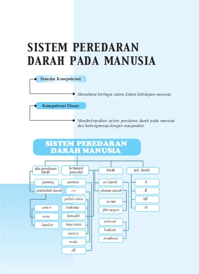 Detail Gambar Skema Peredaran Darah Manusia Nomer 39