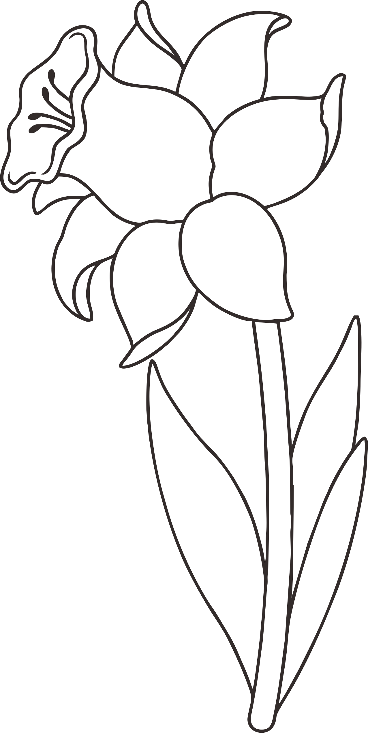 Detail Gambar Sketsa Bunga Untuk Anak Nomer 14