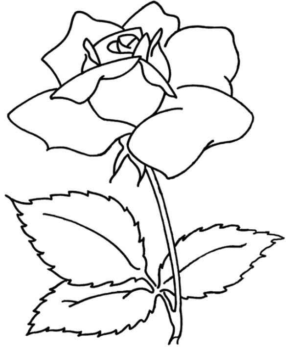 Detail Gambar Sketsa Bunga Untuk Mozaik Nomer 12