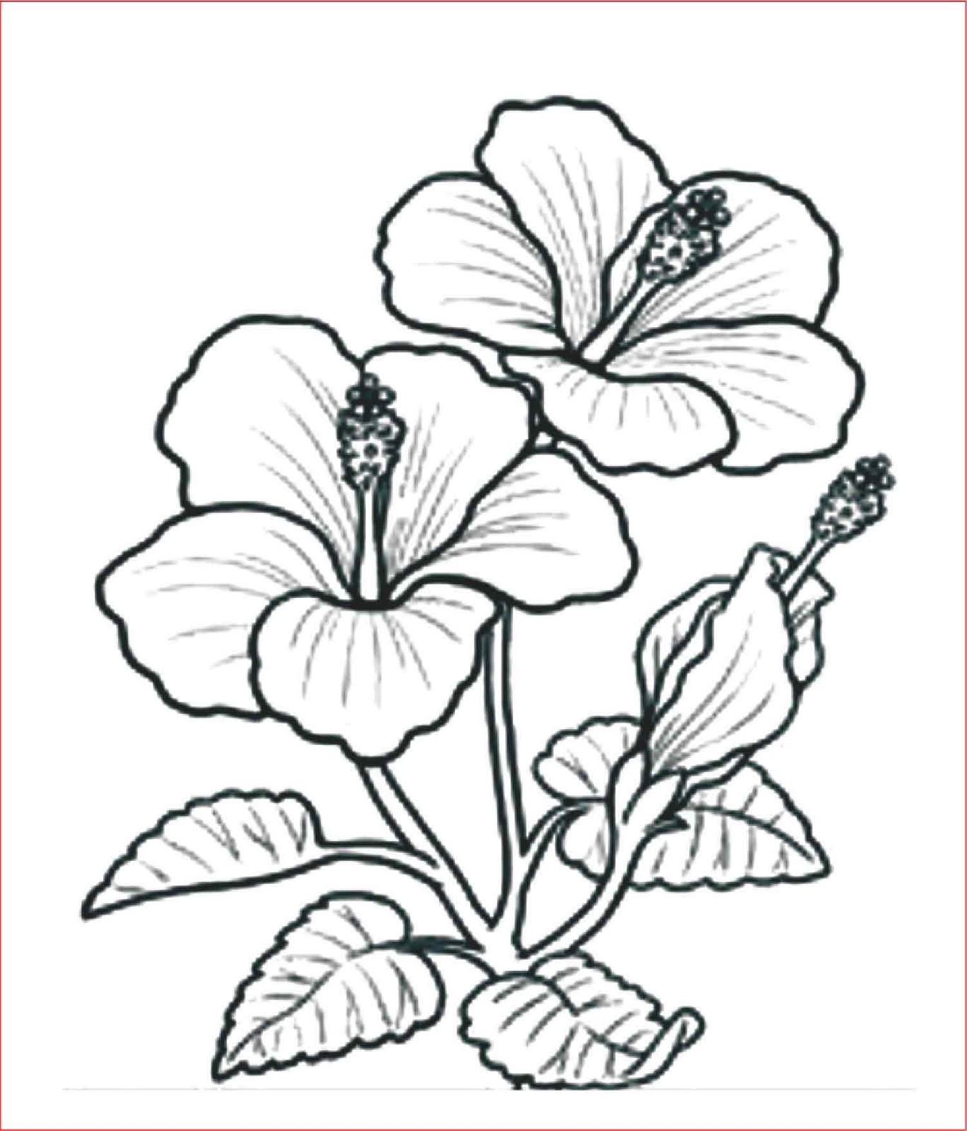Detail Gambar Sketsa Bunga Untuk Mozaik Nomer 30