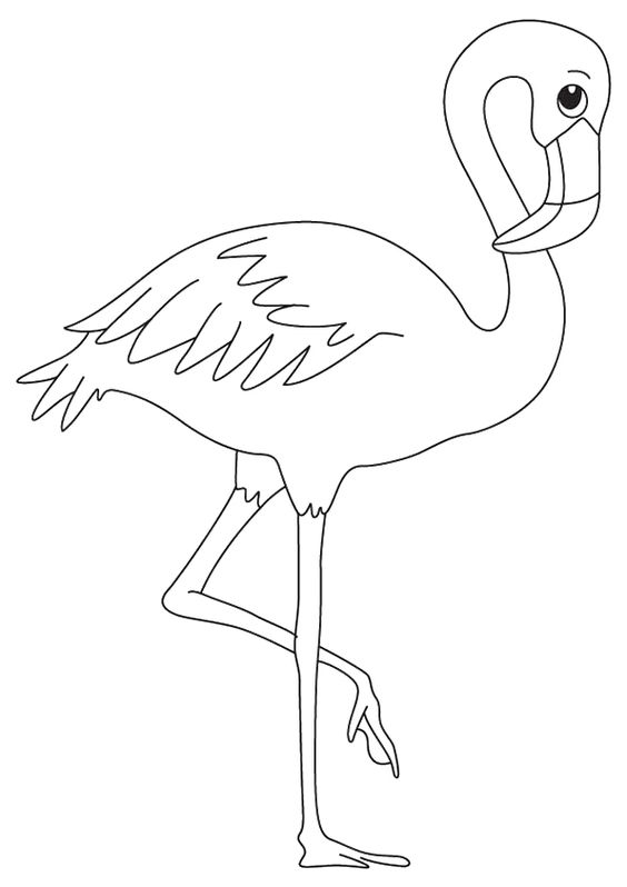 Detail Gambar Sketsa Burung Untuk Mewarna Nomer 43