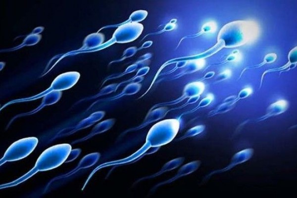 Detail Gambar Sperma Lucu Nomer 19