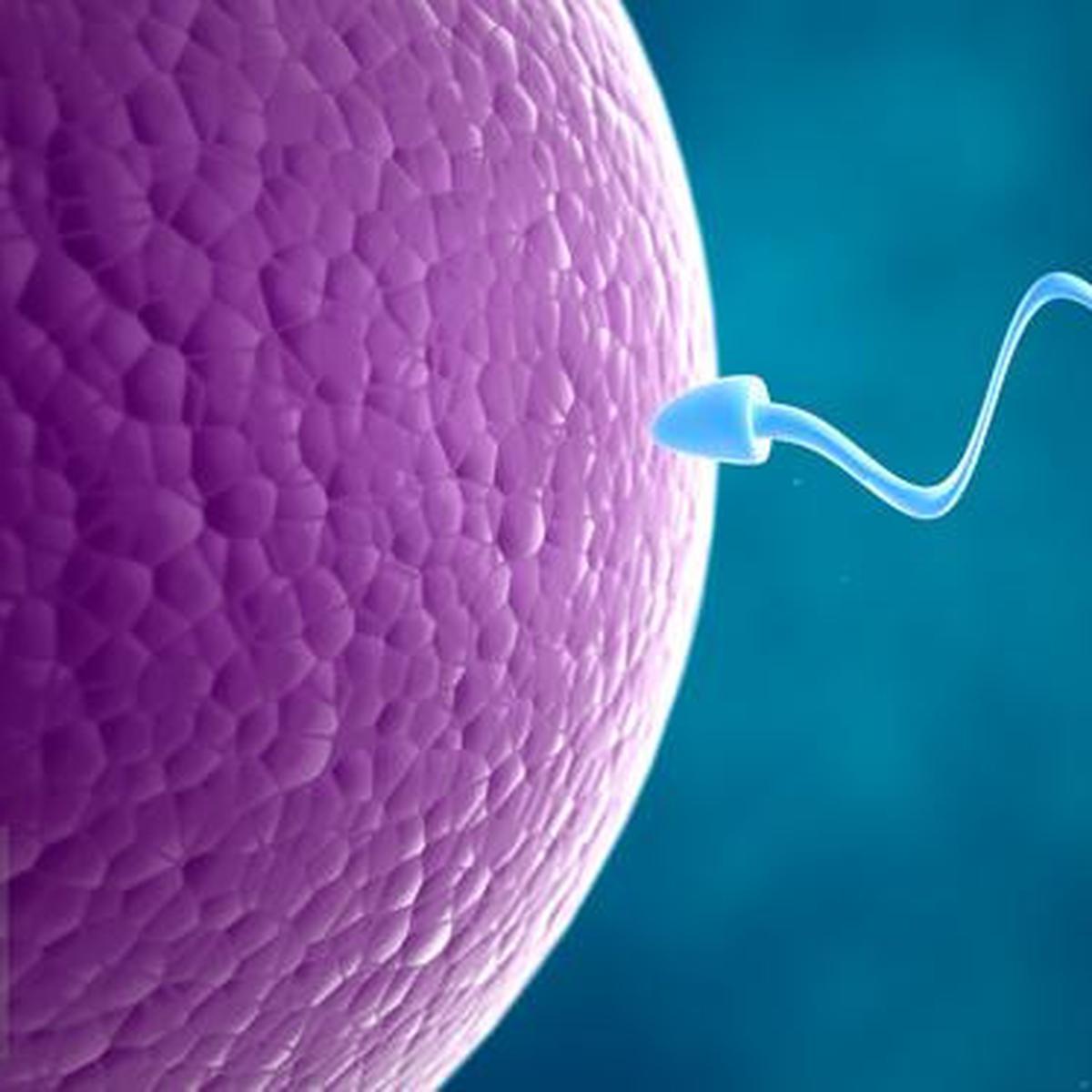 Detail Gambar Sperma Lucu Nomer 32