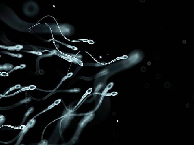 Detail Gambar Sperma Lucu Nomer 34