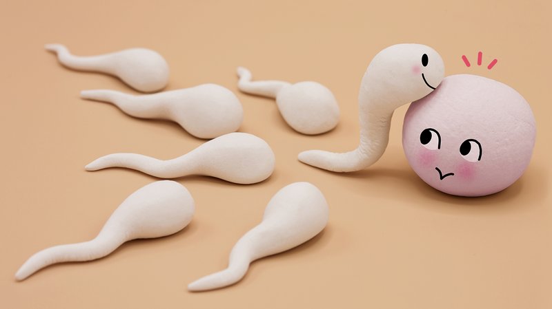 Detail Gambar Sperma Yang Bagus Nomer 38