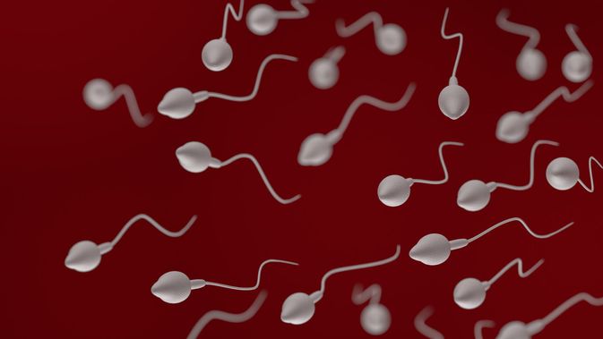 Detail Gambar Sperma Yang Sehat Nomer 14