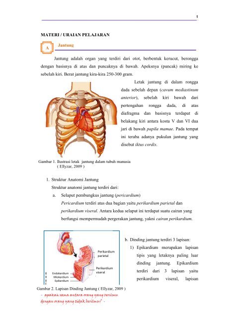 Detail Gambar Struk Peredaran Darah Manusia Nomer 49