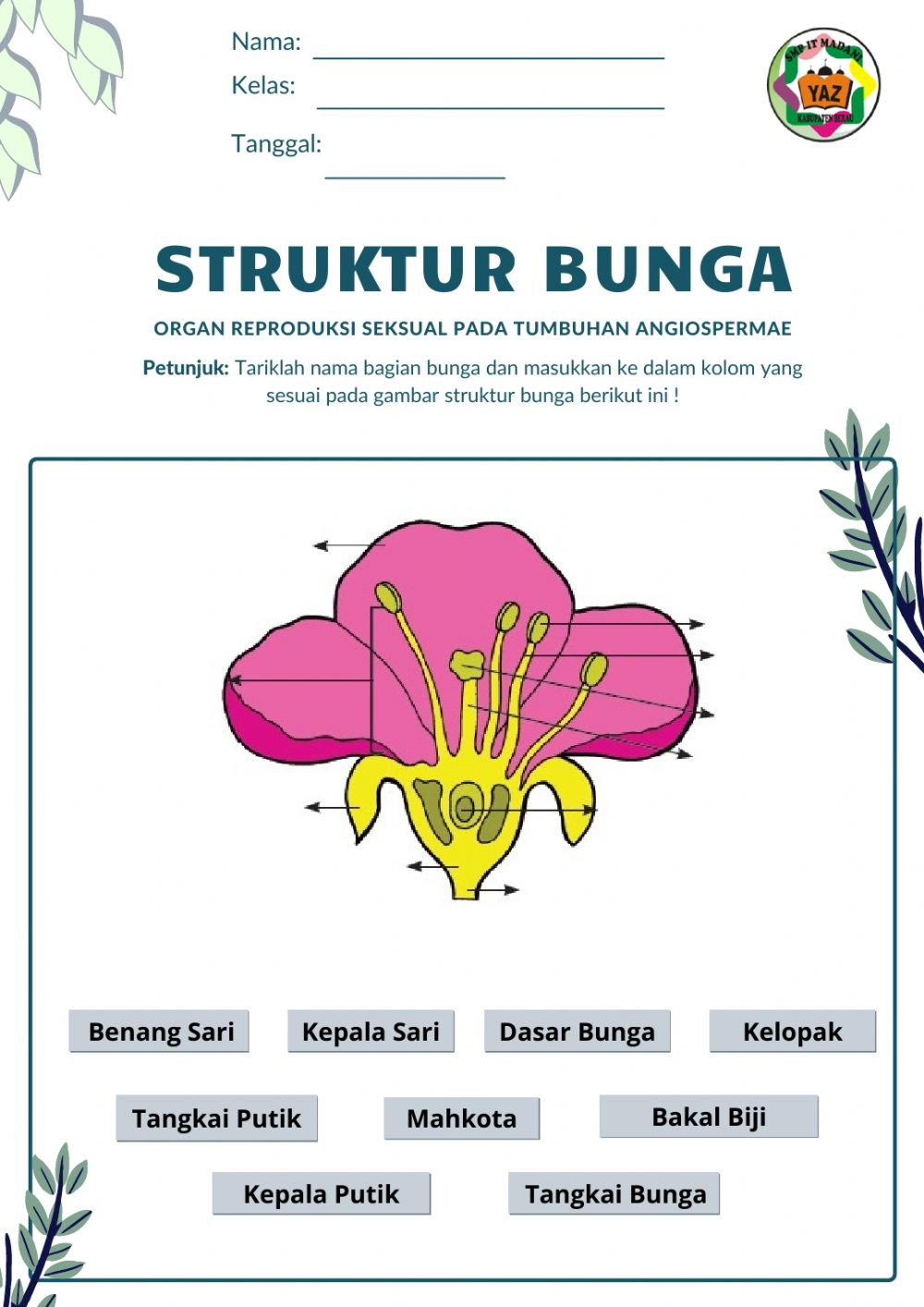 Detail Gambar Struktur Bunga Dan Fungsinya Nomer 31