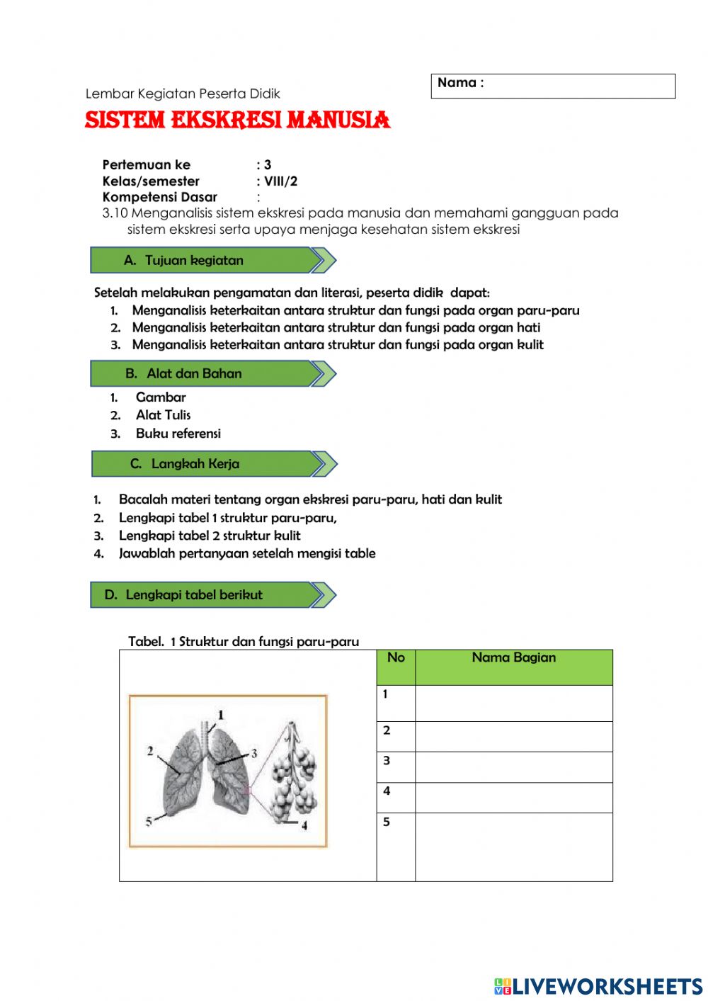 Detail Gambar Struktur Hati Manusia Nomer 39