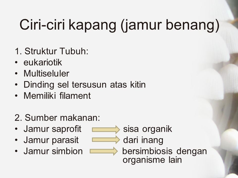 Detail Gambar Struktur Kapang Nomer 48