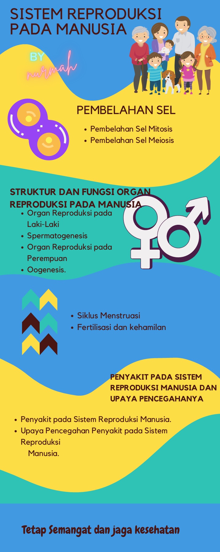 Detail Gambar Struktur Manusia Saat Menstruasi Nomer 46