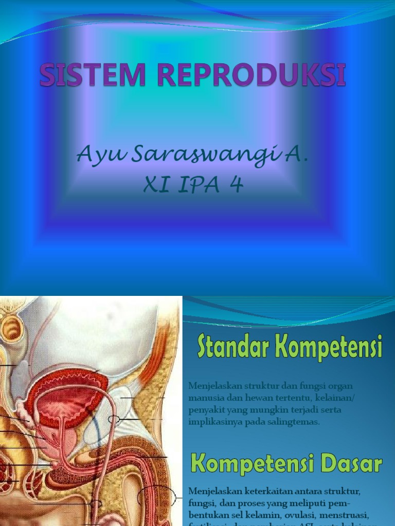 Detail Gambar Struktur Manusia Saat Menstruasi Nomer 47