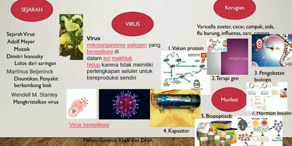 Detail Gambar Struktur Tubuh Bakteriofag Nomer 35