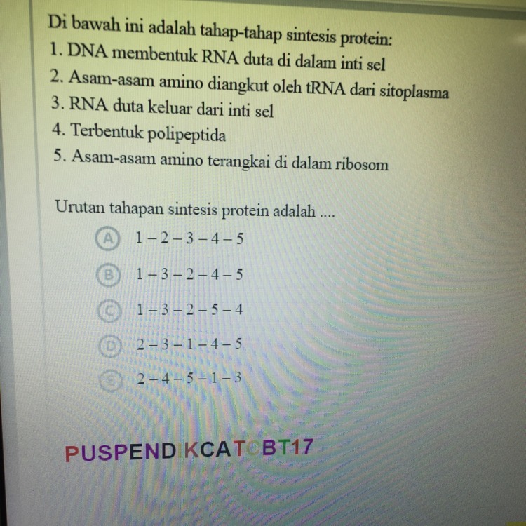 Detail Gambar Tahapan Sintesis Protein Nomer 36