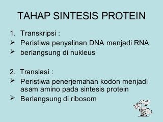 Detail Gambar Tahapan Sintesis Protein Nomer 54