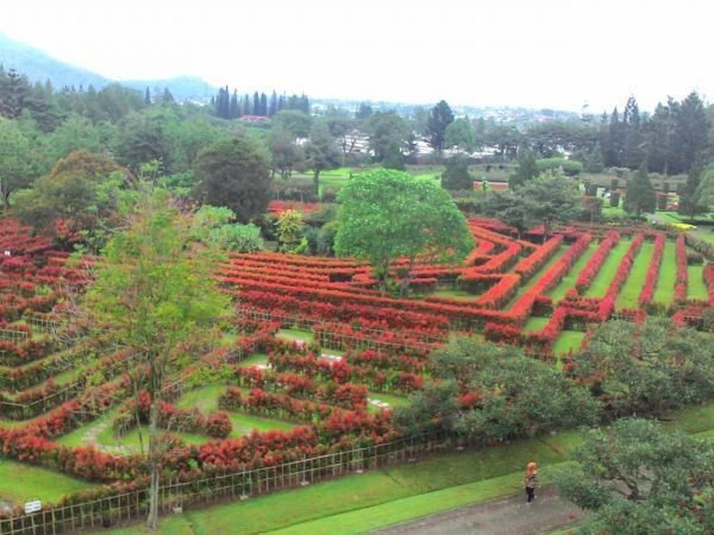 Detail Gambar Taman Bunga Untuk Anak Sd Nomer 20